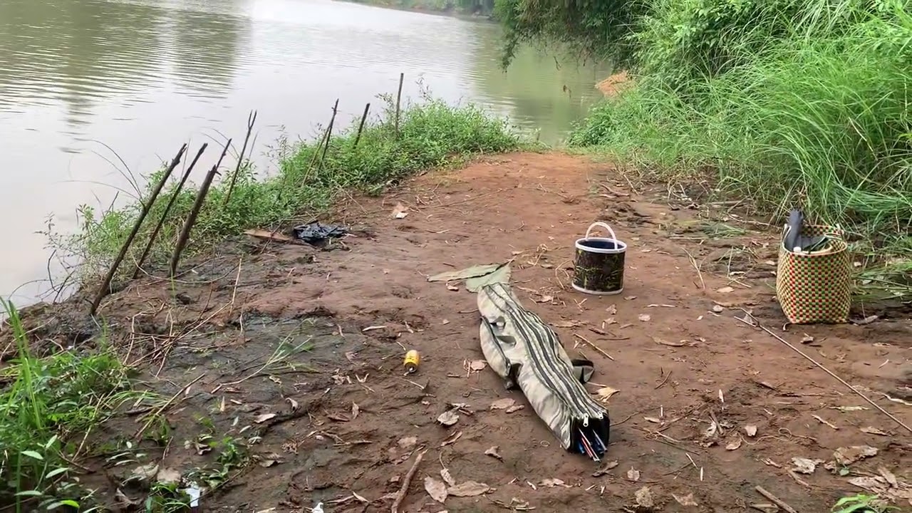 mọi người xem hết video nhé mình chỉ đường xuống bãi câu mát sạch