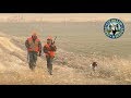 Pheasant Hunting Colorado