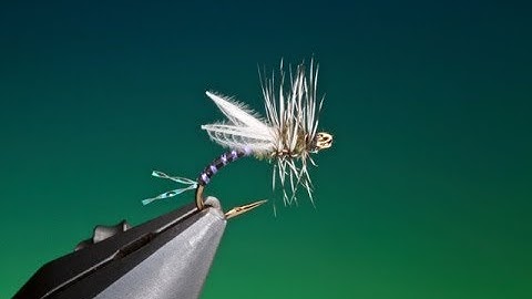 Fly Tying a Hatching midge dry fly with Barry Ord Clarke