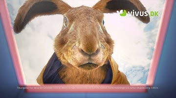 4FINANCE: The Present