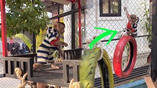 MODY Happy Play, Jumping & Hopping On A Swing & Mini Cottage