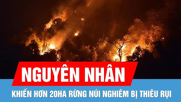 Một người thiệt mạng khi tham gia dập lửa cứu rừng núi Nghiêm