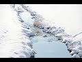 雪 化 粧           松山 千春  初 恋