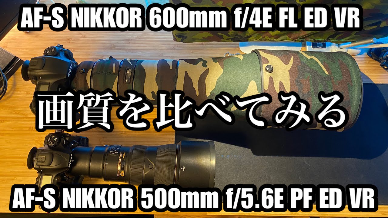 画質比較】600mm f/4E FL × 500mm f/5.6E PF - YouTube