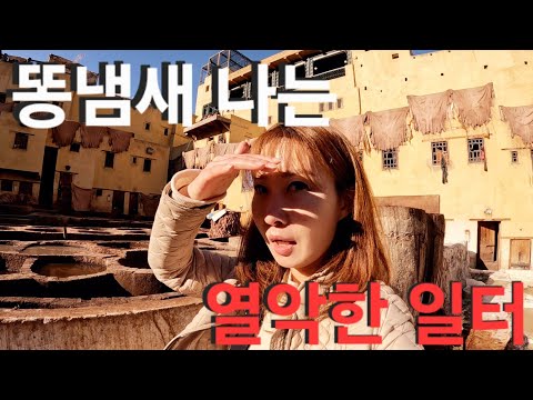 (아프리카ㅡ모로코)천년 전통의 가죽공장, 푸세식화장실안에 들어와 있는 느낌.