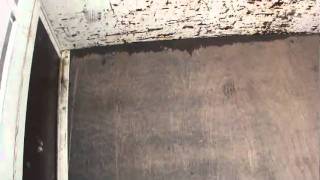 中古トラック　エルフ標準１０尺平ボディ　内装.mpg