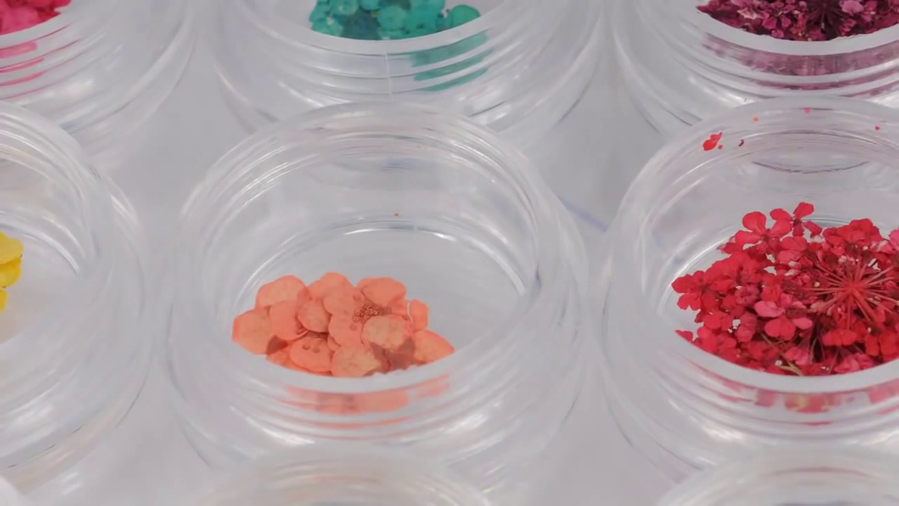 Hoa khô dán móng tại Đại lý Kềm Nghĩa Annie Yep