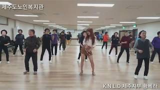 Choka Choka ( Basic Salsa )-Line Dance 살사기본 스텝