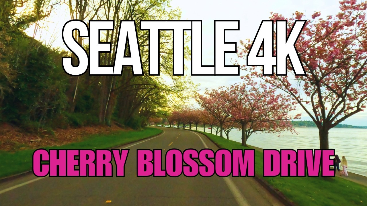 Experience Scenic Drives, Road Trips, Driving Tours, Highways 12 YouTube player