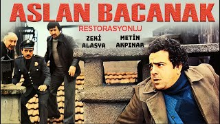 Aslan Bacanak Türk Filmi | FULL HD | ZEKİ ALASYA | METİN AKPINAR