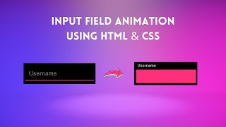 Input Field Animations with HTML and CSS - Input Label Animation  | Web Content Update