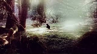 rvt - thru blood 
