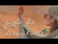 Farsi Song Delbare Sherenam شده چندی که زسودای تو غمگینم دلبر شیرینم 2025 