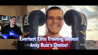 Everlast Elite Hook and Loop Training Gloves Review!