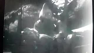 GIANT FROM THE UNKNOWN 1958