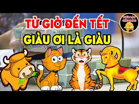 Video Lo Sợ 4 Con Giáp Này Không Tiêu Hết Tiền, LIÊN TỤC... - youtube