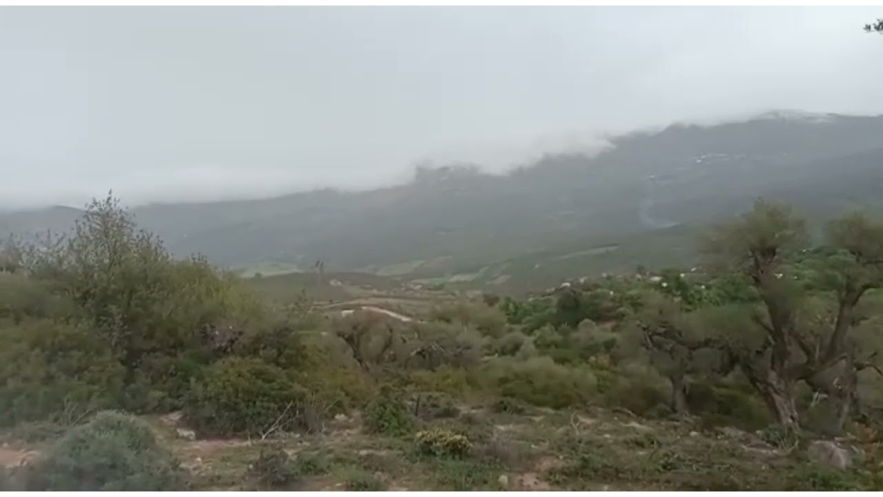 دار الشاوي. دوار حرش طنجة