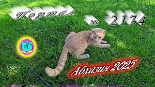 : #2025 04.10.25.    2174 +27 +17 +21,3