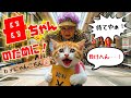 【神回】母の誕生日に涙の激走!2,980円の最後の1着をかけた子猫vsオバチャンの結末【AI猫にゃんこちん】