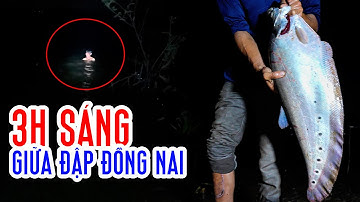 192H Ở Rừng Đồng Nai - Câu Cá Thác Lác Tập 1