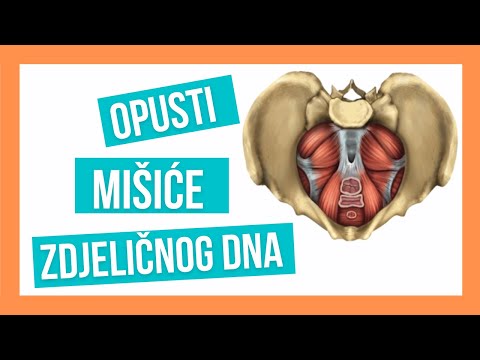 VJEŽBE ZA OPUŠTANJE MIŠIĆA ZDJELIČNOG DNA