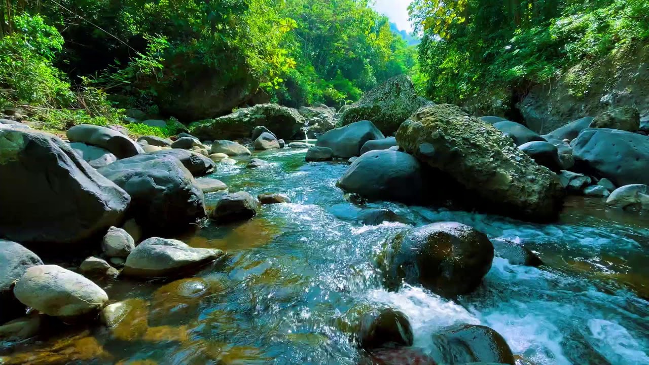 Deep Relaxation River Sounds – 10 Hours for Anxiety & Stress Recovery Stress & Tension Release