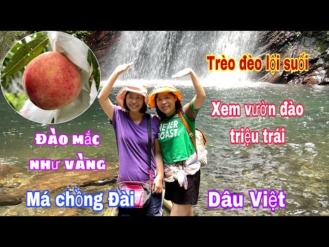 Du lịch Đài Loan | Hai má con đi tham quan thác nước chim ưng và xem vườn đào siêu trái trên núi cao