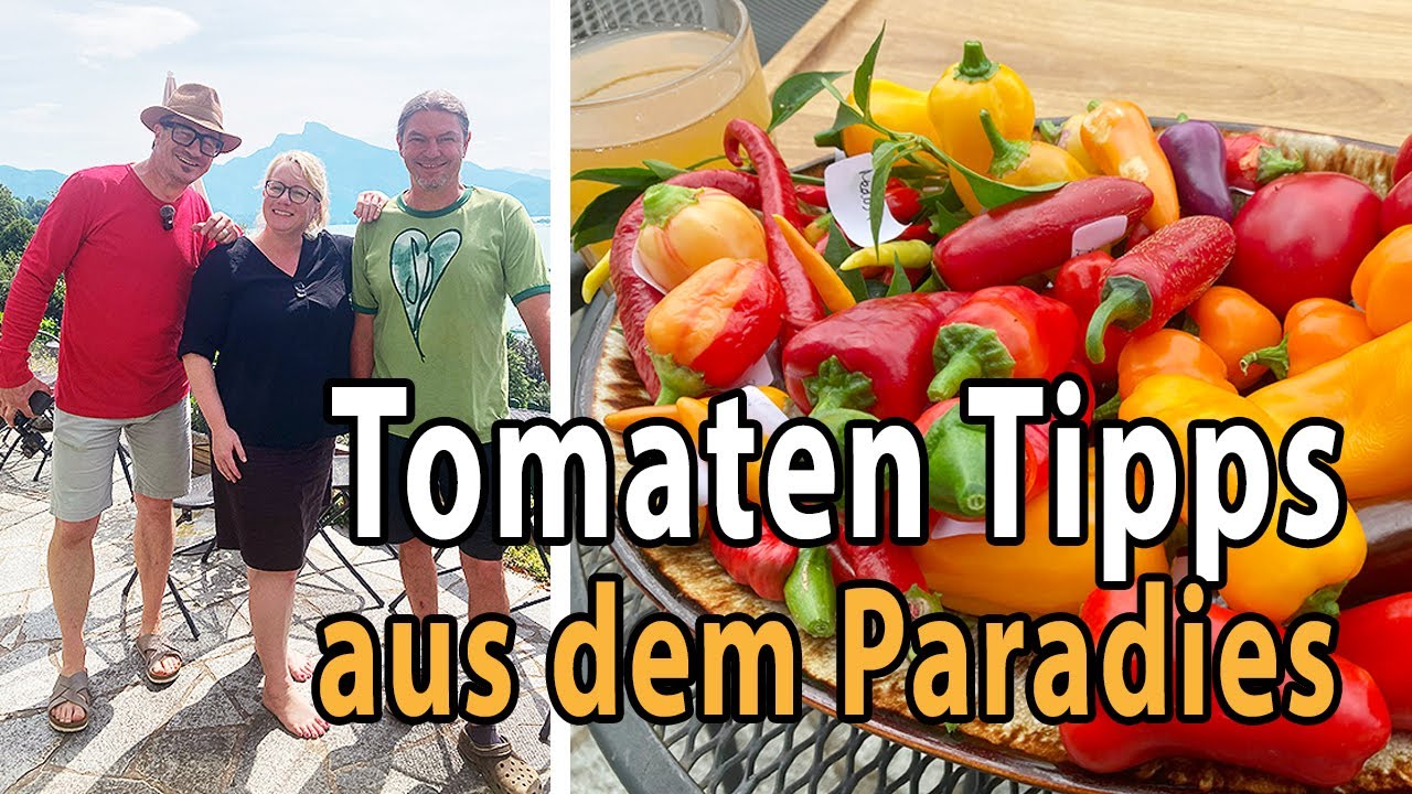 🍅 So war es wirklich! HINTER den Kulissen der Tomatenverkostung 2025 bei dem @tomatenfluesterer