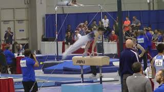 Michael Jaroh - Pommel Horse - 2018 JO Nationals - Level 10 JE