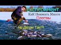 Как Поймать Много Плотвы в Январе !!! Лучшая Прикормка для Ловли Плотвы Зимой!!!