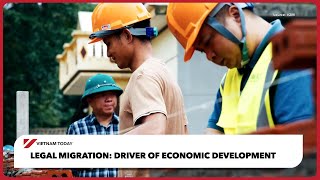 Legal migration: driver of economic development | Vietnam Today