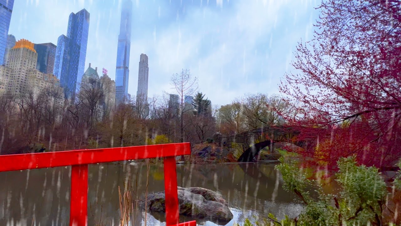 Walking in the ☔️ RAIN in CENTRAL PARK | NYC Walking TOUR