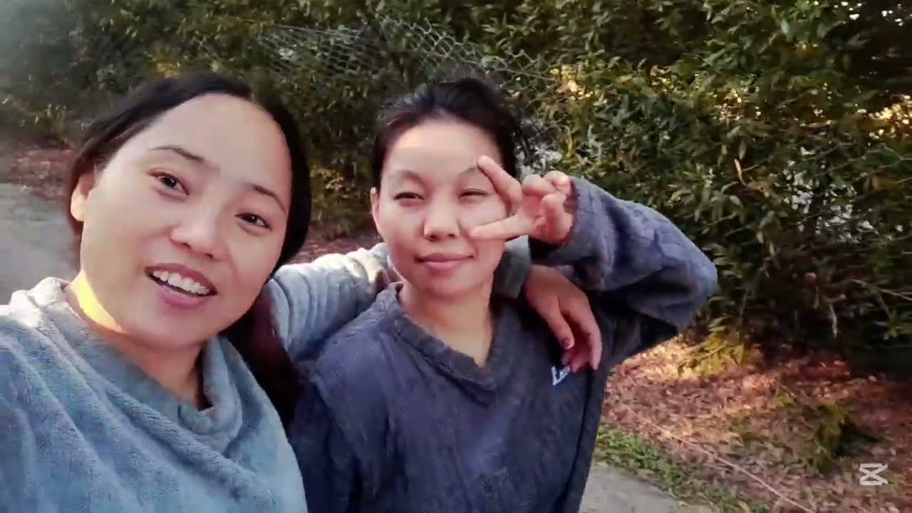 Majara gumna gayeko hami in Kuwait 🇰🇼 