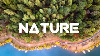 Nature Cinematic Videos With Cinematec Music