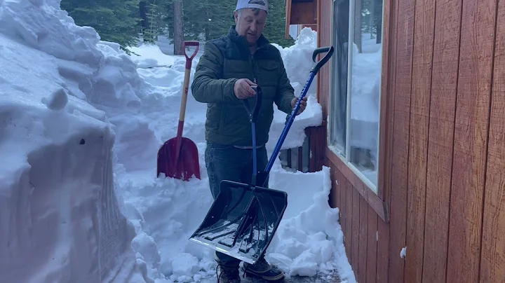 SnowJoe Shovelution vs. Ace Scoop Shovel