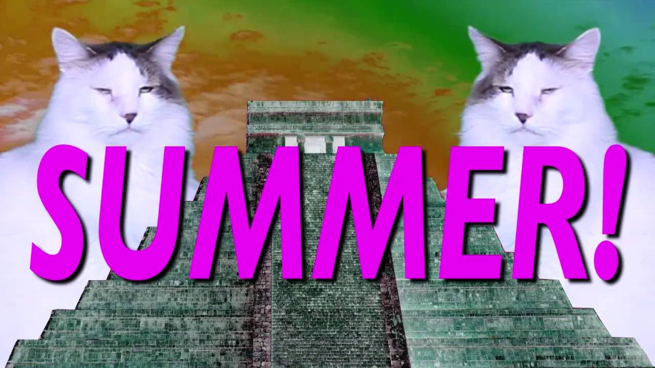 ¡FELIZ CUMPLEAÑOS SUMMER! Canción Comica de Cumpleaños camera iphone 8 plus apk