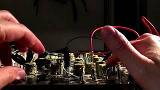 Twin Tropiques 23 Psychoacoustic - YouTube