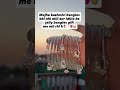 Viral Jelly bangles 🎁❤️😭😍 #pinterestyfinds #viralproducts #giftideasforgirls