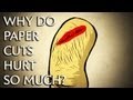 Why Do Paper Cuts Hurt So Much? - Instant Egghead #25