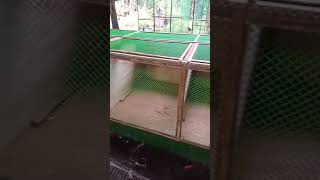 Testing new scratch box KIAN/KYLE Gamefarm Testing new scratch box KIAN/KYLE Gamefarm