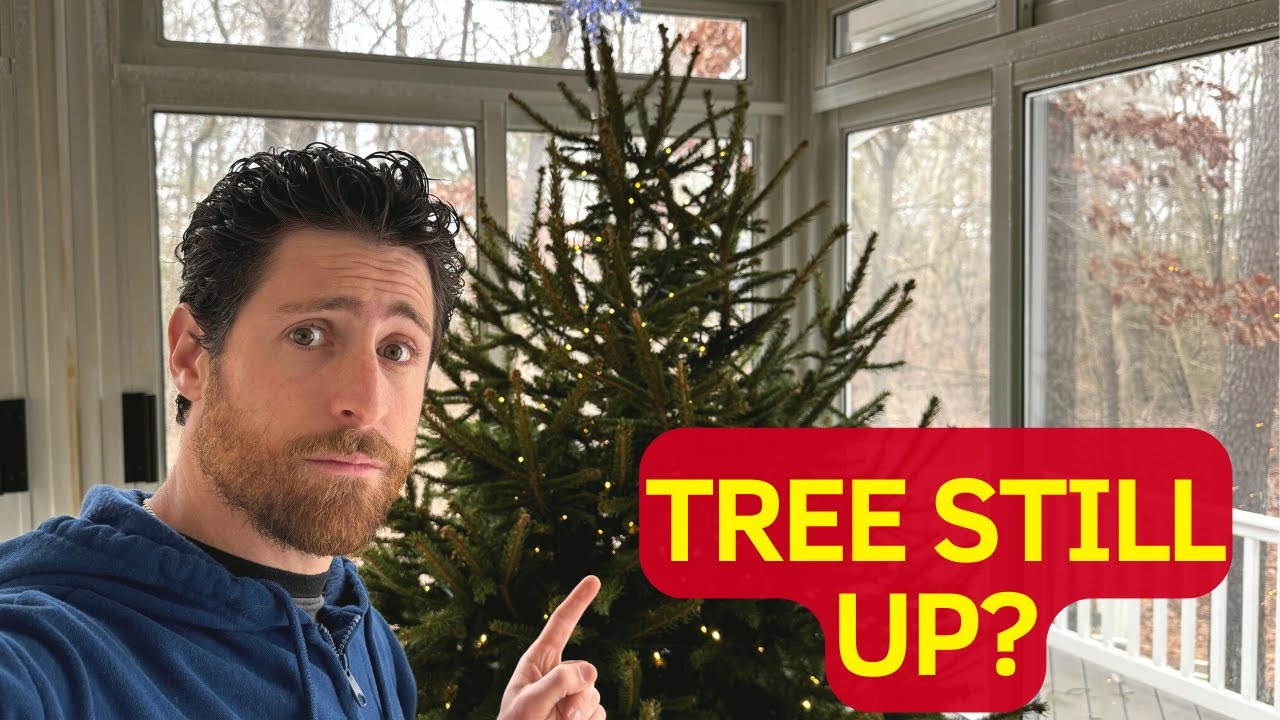 Is Your Christmas Tree still Up? YouTube