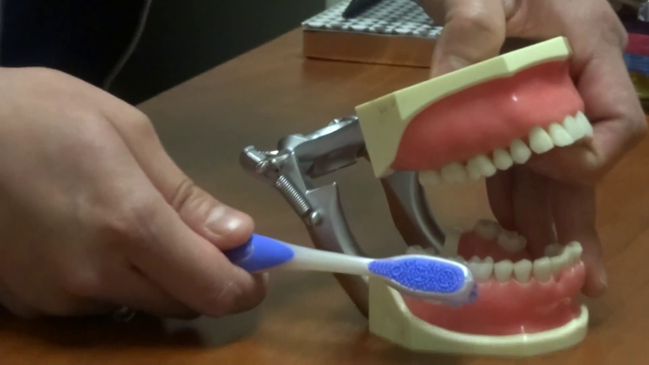 Toothbrushing Basics in Spanish & English YouTube