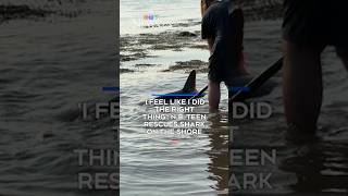 'I feel like I did the right thing': N.B. teen rescues shark on the shore 'I feel like I did the right thing': N.B. teen rescues shark on the shore