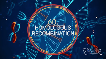 Genetics in 60 seconds: Homologous Recombination