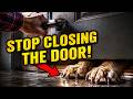 Why Dogs Follow You To The Bathroom: Dog Psychology Explained [They Aren't Needy]