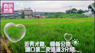 (已成交~歡迎託售)桃園市楊梅區甡甡路稀有農地+建地-春明地產-035551111