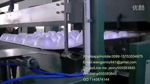 fully automatic polystyrene foam box/plate vacuum forming machine cutting off machine