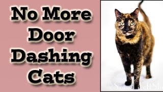 cat door dashing