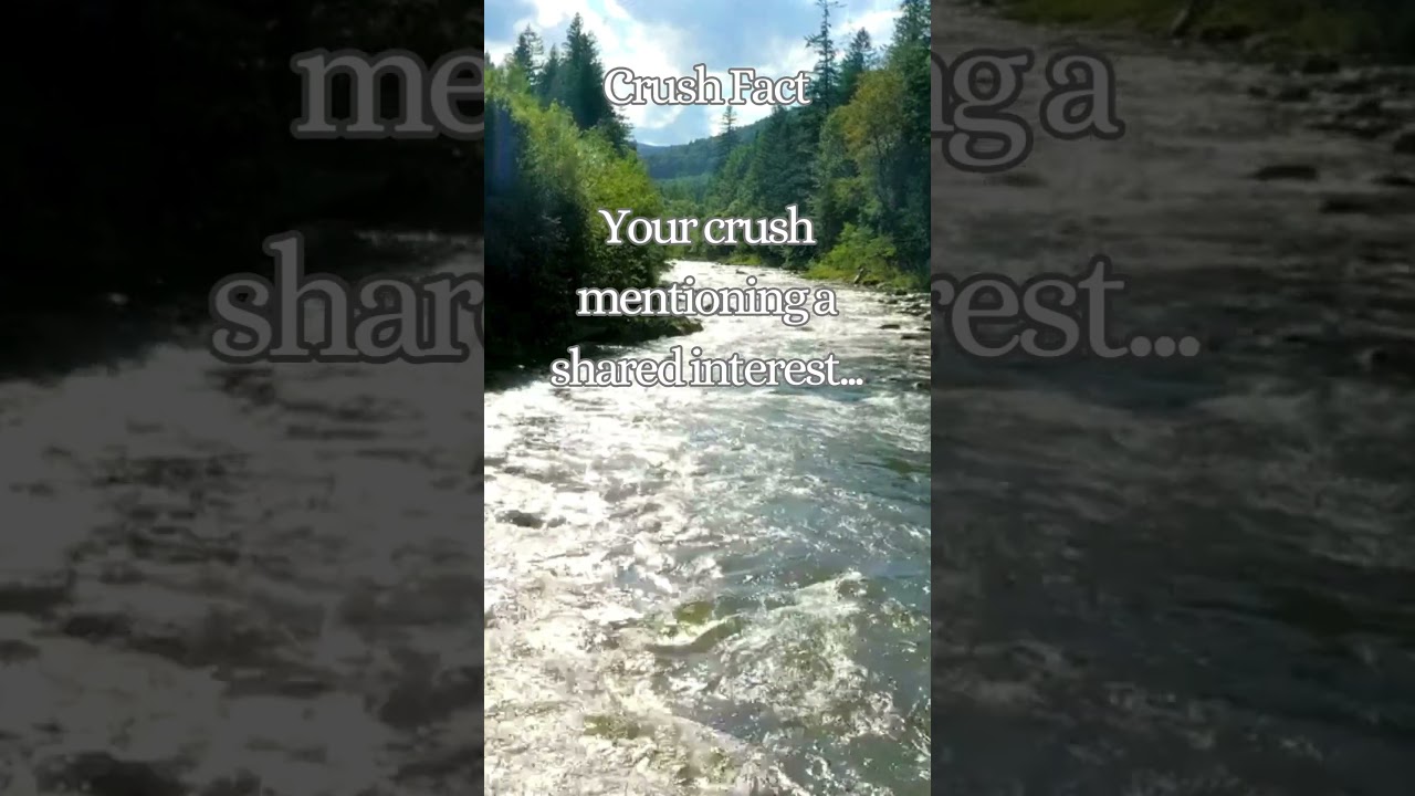 The Joy of Shared Dreams 