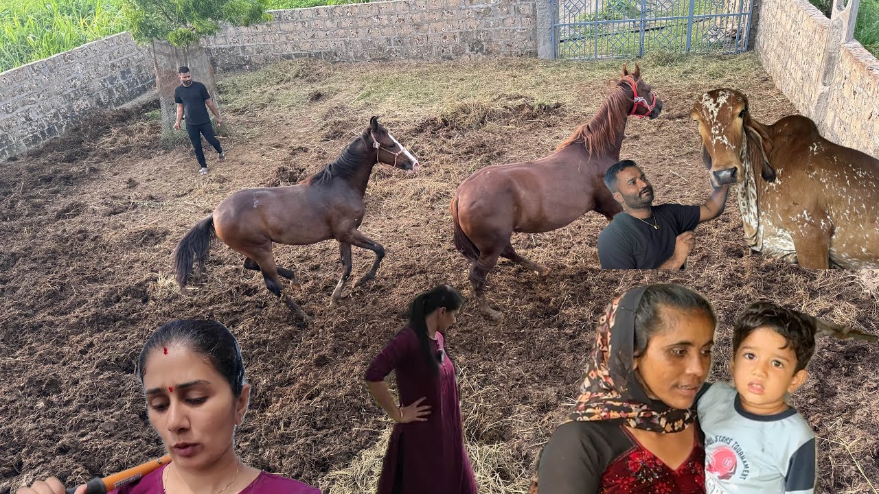 Ajj ka din kuch special tha 